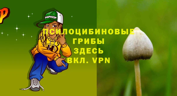 винт Абаза