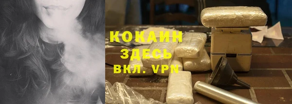 винт Абаза