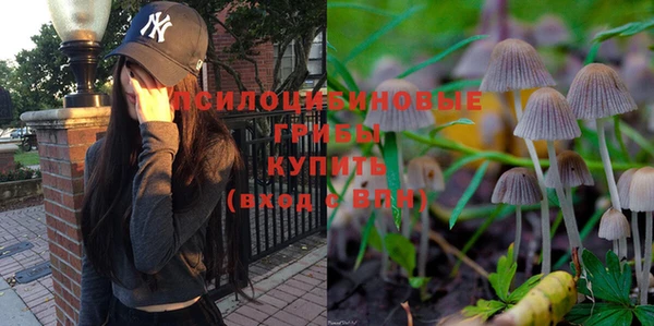 винт Абаза