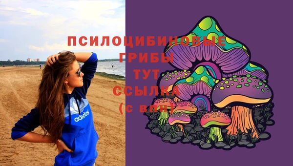 дмт Алексеевка