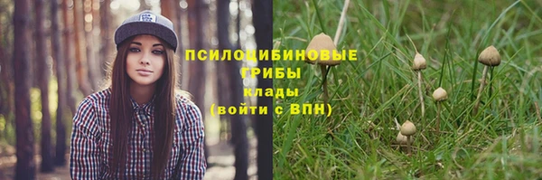apvp Абинск