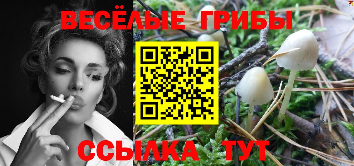 Галлюциногенные грибы мицелий  Вход с VPN  Отрадное  Галлюциногенные грибы Psilocybe 