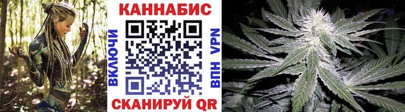 Бошки марихуана OG Kush  mega как зайти  мориарти официальный сайт  Отрадное 
